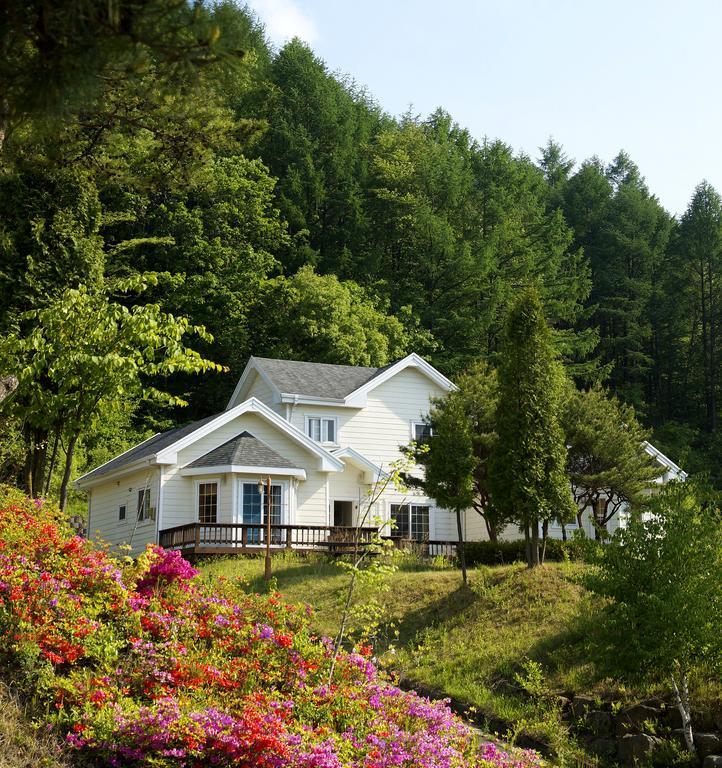 Resort Feliz Pjongczang Zewnętrze zdjęcie